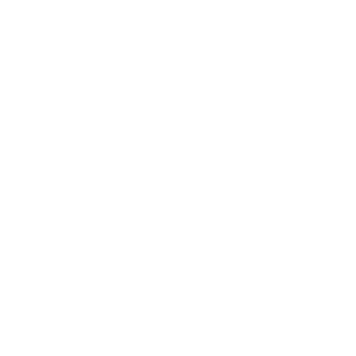 Workpoint - Logo Wit